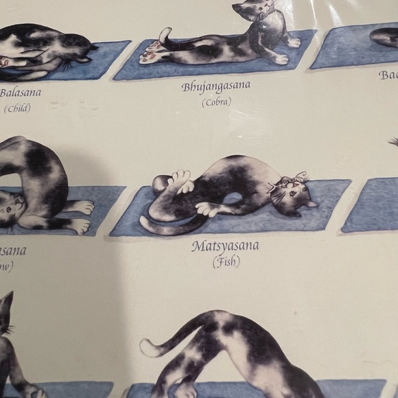 🐱 Yoga Kitty print with 9 yoga poses - Picture 8 of 10